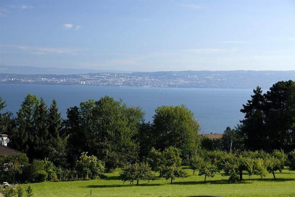 Residence Odalys Les Chalets D'Evian Εξωτερικό φωτογραφία